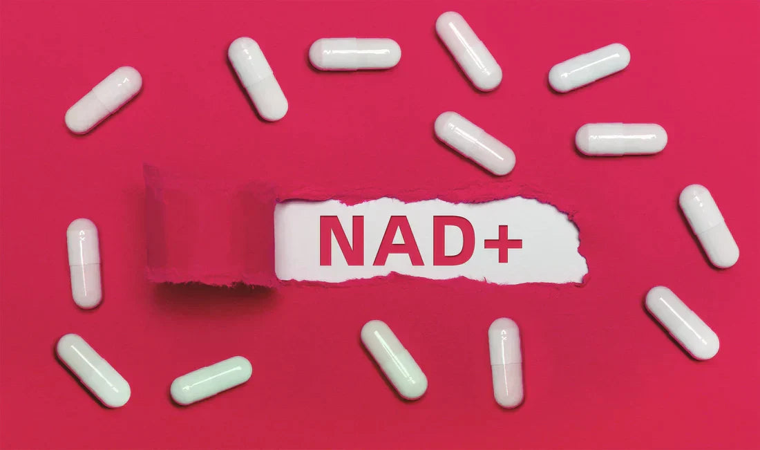 Why Choose Selerb NAD+ for Anti-Aging？