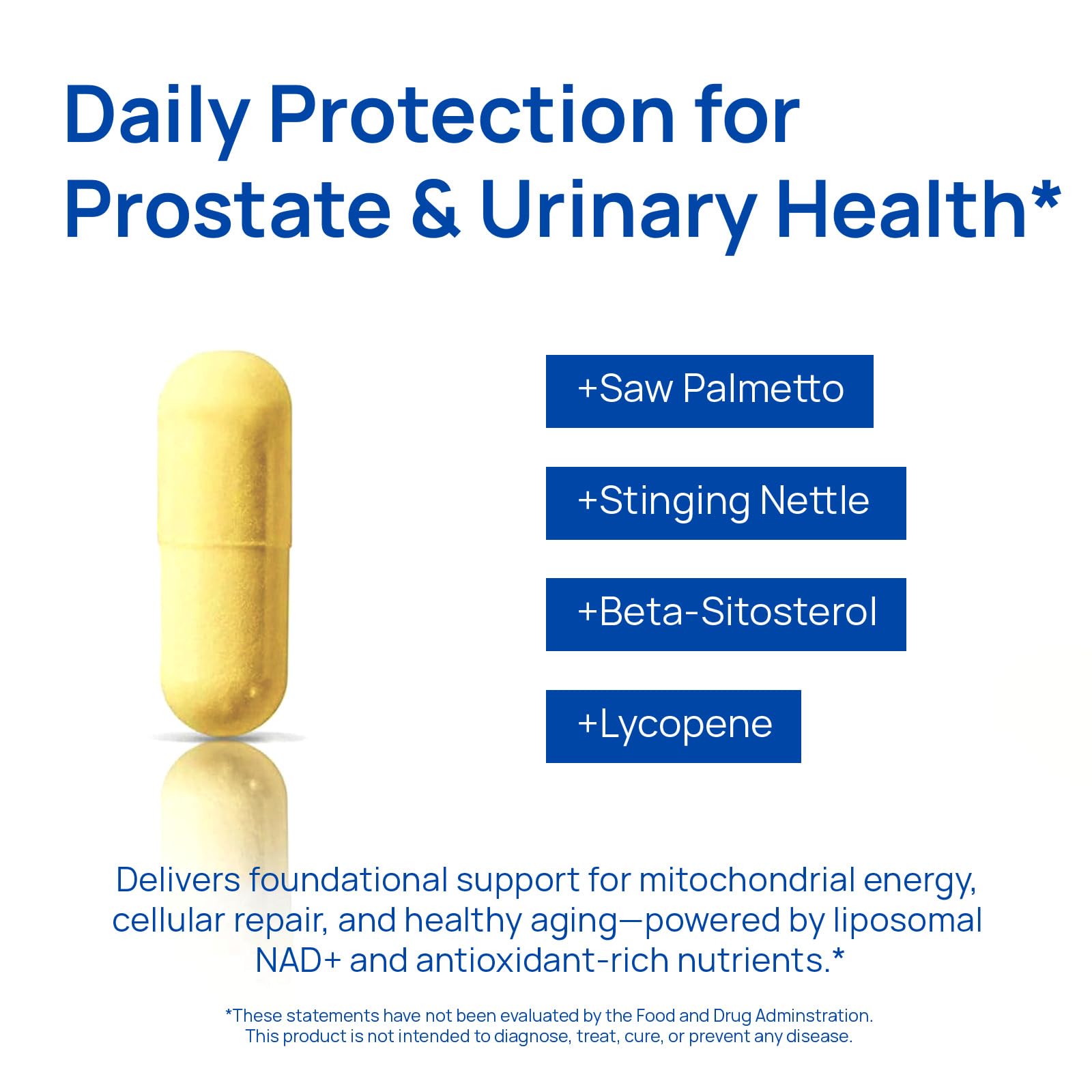 Selerb NAD+ Supplement for Men - 60 Capsules