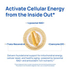 Selerb NAD+ Supplement for Men - 60 Capsules