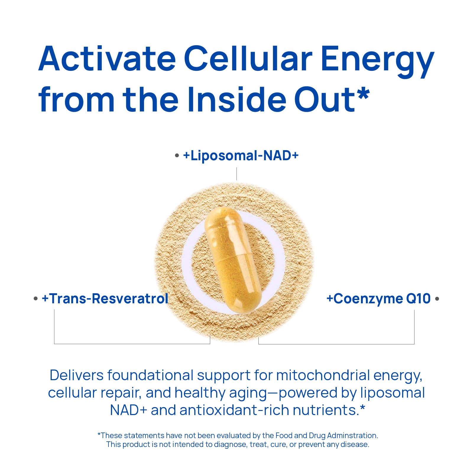 Selerb NAD+ Supplement for Men - 60 Capsules